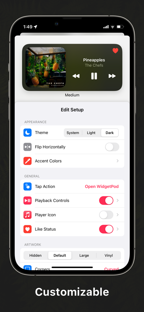 WidgetPod - Music Widget - WidgetPod app interface showing customization options for a music player widget on iPhone