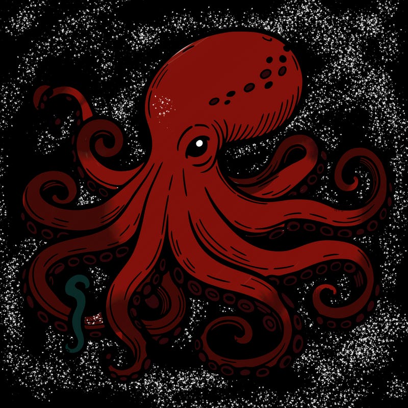 octopus