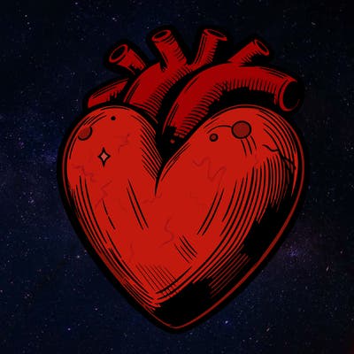 realistic heart