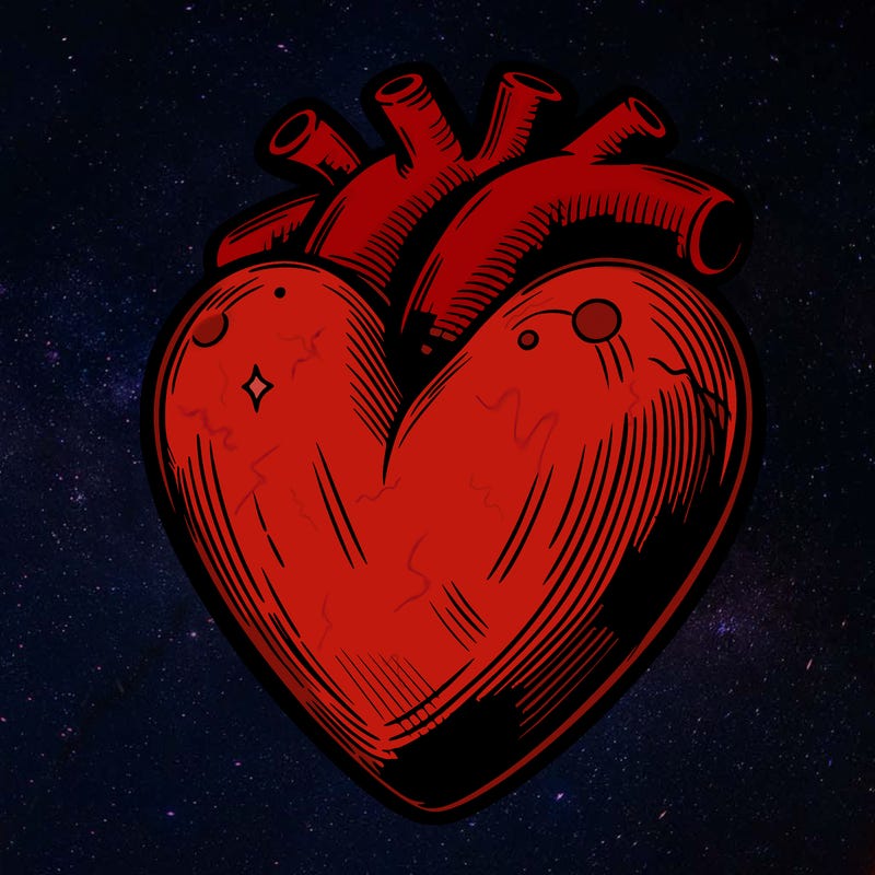 realistic heart