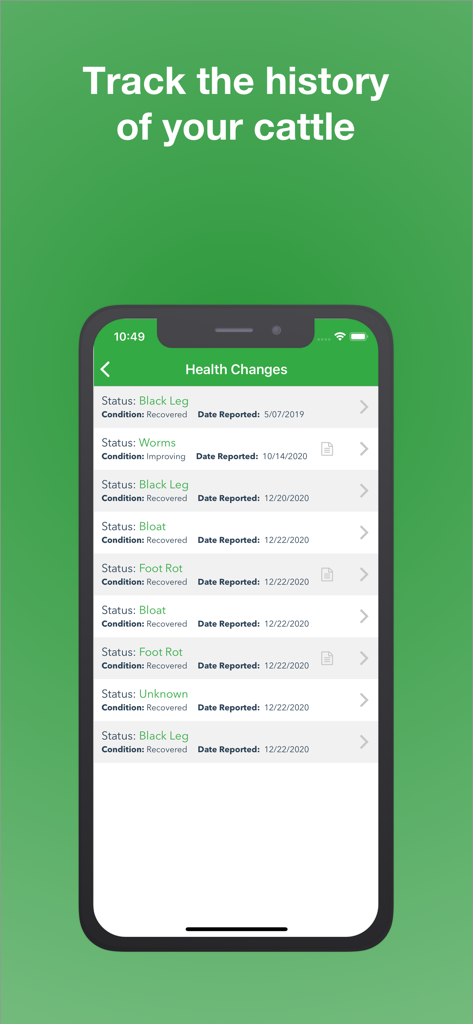 A smartphone displaying a list of cattle health records including status, condition, and dates within the Ranchr app