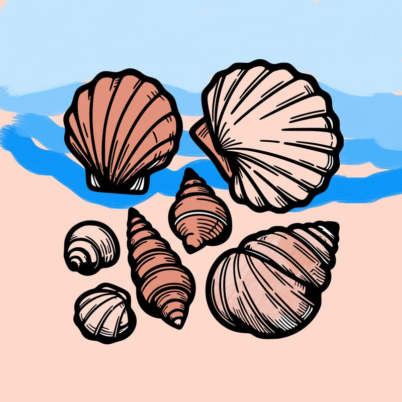 shells