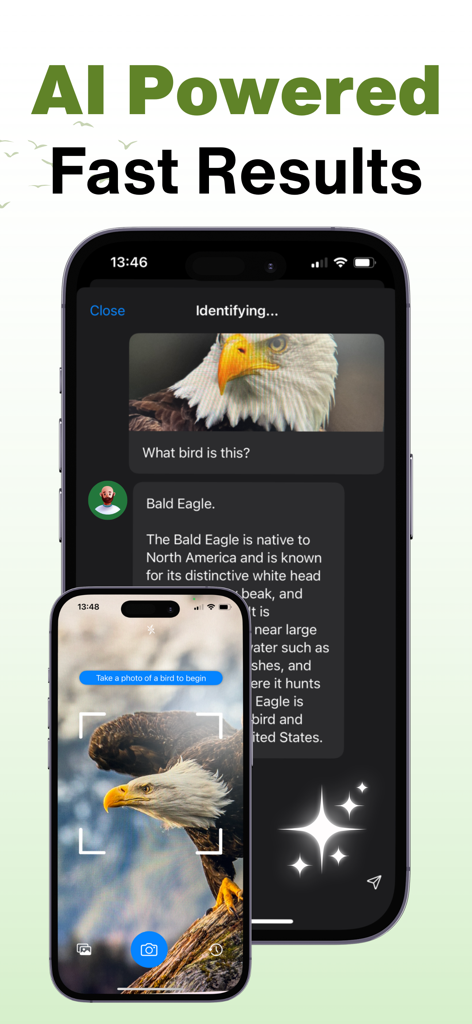 Bird Identifier AI Scanner - Bird Identifier AI app interface showing a Bald Eagle being identified with fast results