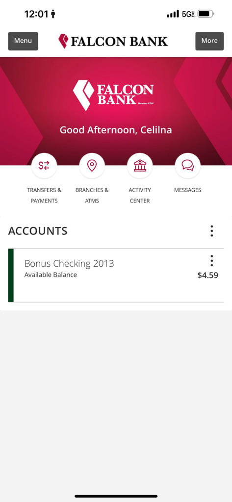 Falcon Bank mobile app dashboard showing an account balance and quick access icons for transfers branches and messages