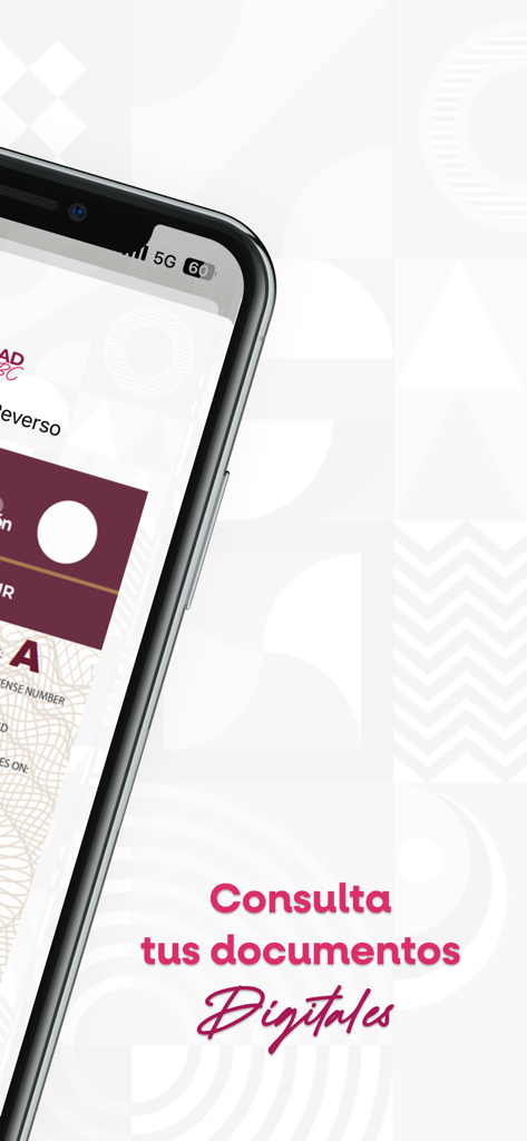 Identidad Digital BC - Identidad Digital BC app screen showing digital vehicle documents