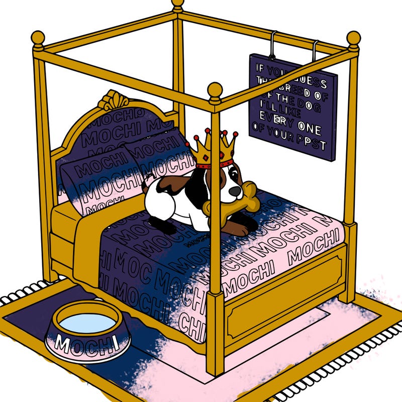a beagle with  a crown on her head with a toy in her mouth in a bed and the bed says mochi everywhere on the bed with a dog food bowl that says mochi and a sign that says if you guess the breed of the dog i'll like every one of your ppsts