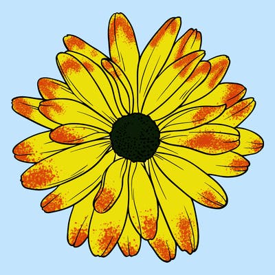 flowers_21