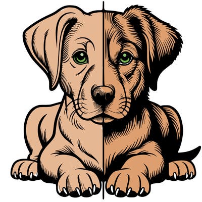 realistic dog split picture