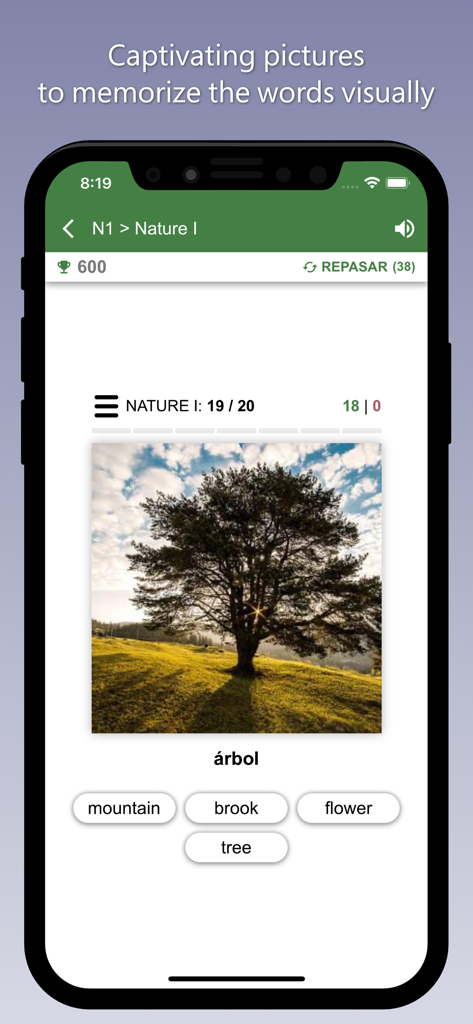 Learn English with Bilinguae - Interfaz de la aplicación de aprendizaje de inglés que muestra un ejercicio de vocabulario visual con una foto de un árbol y palabras de opción múltiple