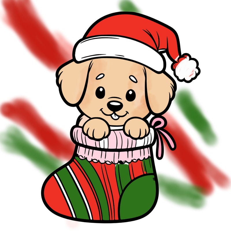 cute puppy wearing santa hat in socking