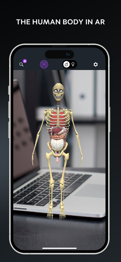 A 3D human skeleton and internal organs displayed in augmented reality on a desk next to a laptop.