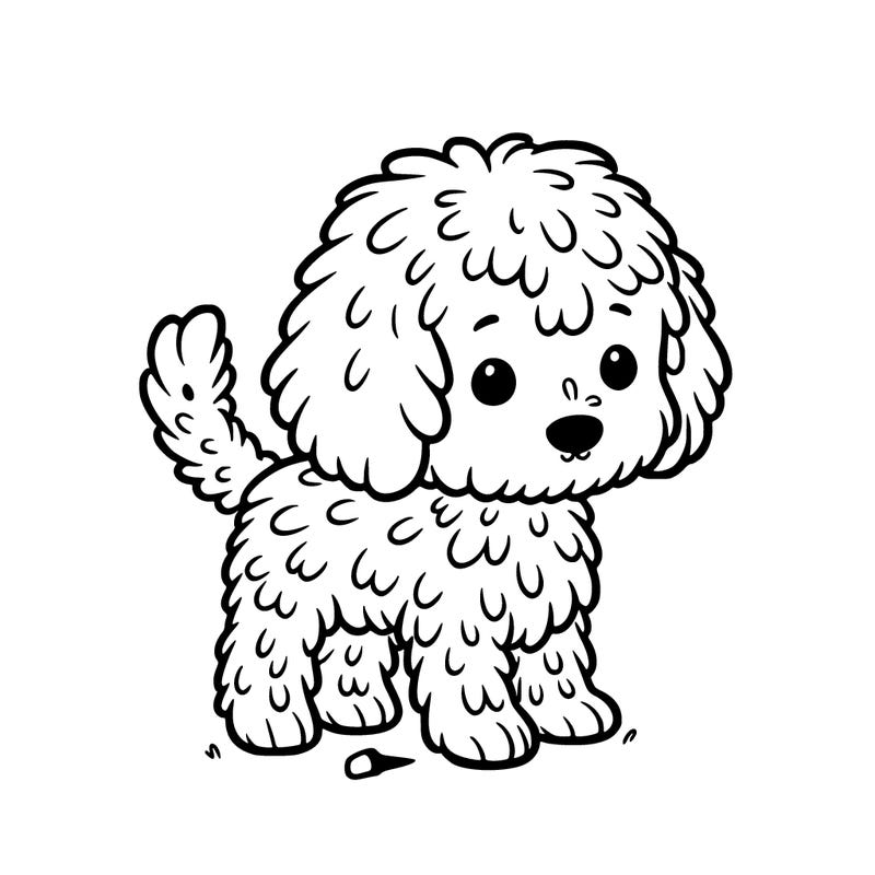 a picture of a golden doodle thats small and named coco also really detailed fur