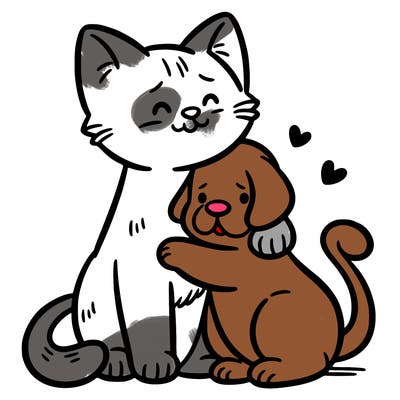 cat hugging a dog