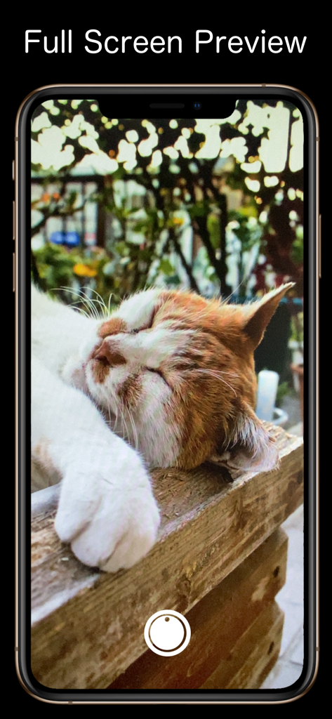 Minimalistische Vollbildvorschau einer schlafenden Katze in der mobilen App The Simple Camera