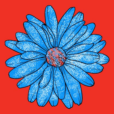 flowers_21