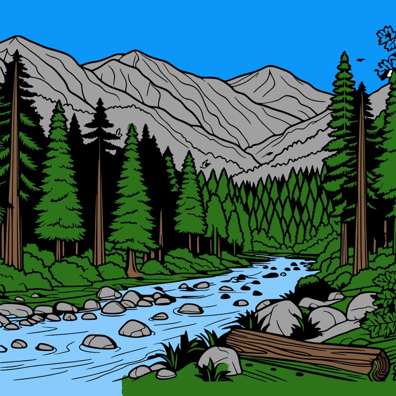 landscapes to color redwood forest