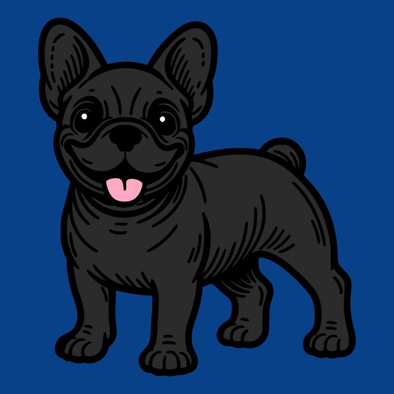 frenchie dog