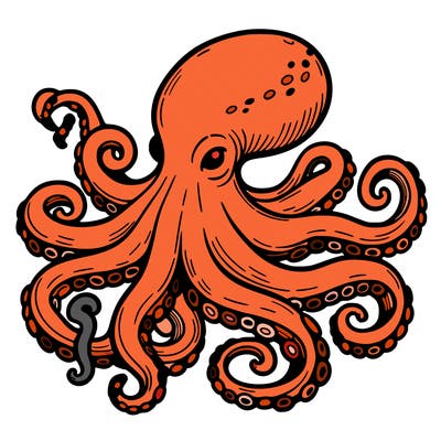 octopus