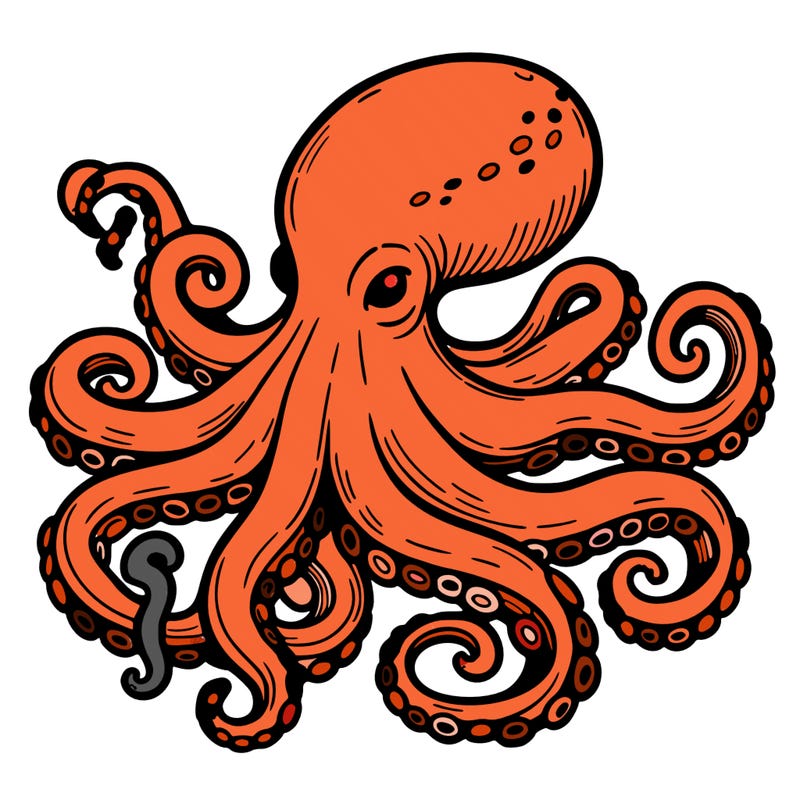 octopus