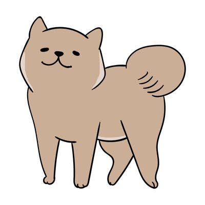 animals_29