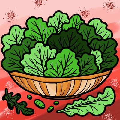 lettuce salad
