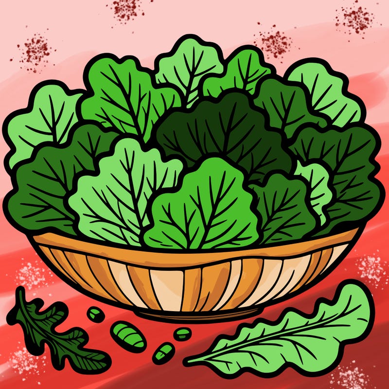 lettuce salad