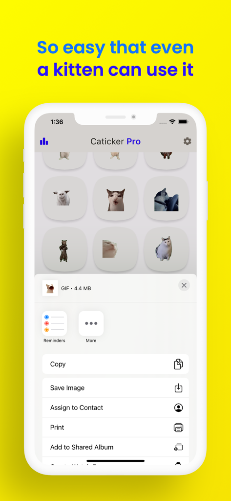Cat Meme Stickers: Caticker - Smartphone interface of the Caticker app displaying funny cat meme stickers and easy sharing options.