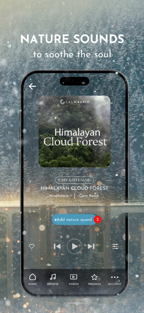 Calm Radio - Music to Relax - Aplicación móvil Calm Radio mostrando el canal de sonidos de la naturaleza 'Bosque Nuboso del Himalaya' en un smartphone con fondo de bosque nevado