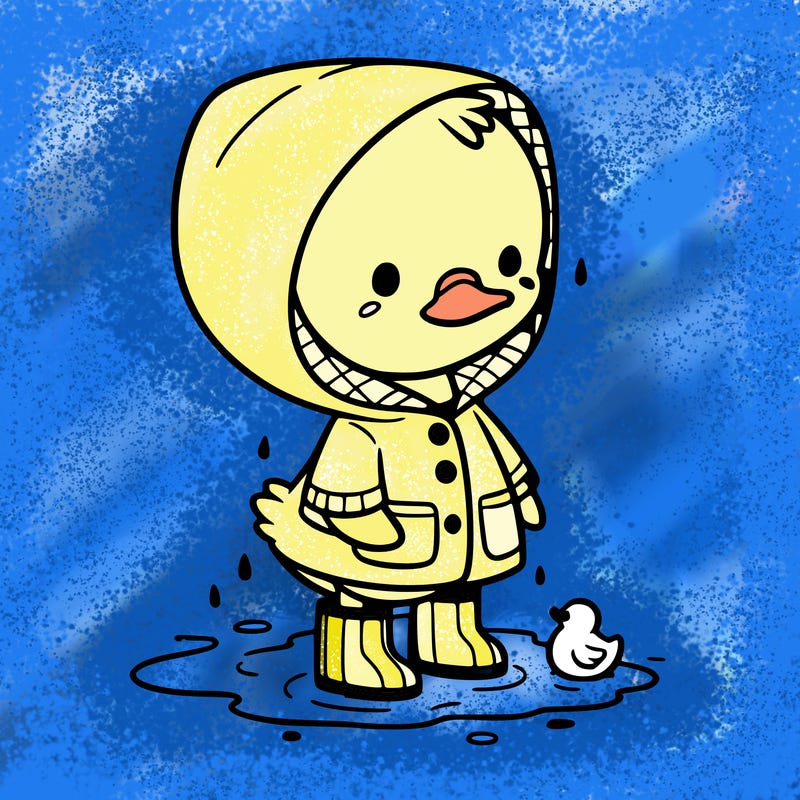 baby duck in a rain coat and boots, in a puddle while it’s raining