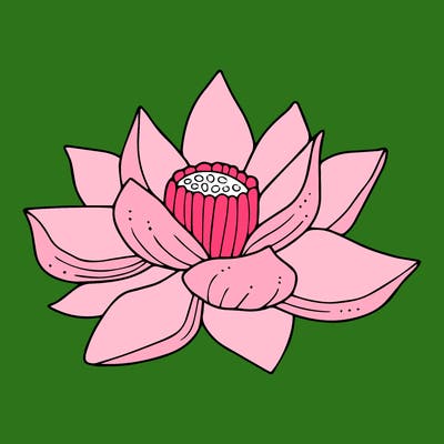 flowers_08