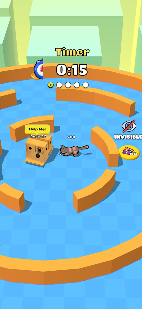 Purrfect Cat Escape: Hide Seek - Gameplay of Purrfect Cat Escape showing a cat character in a 3D maze near a teammate hidden in a box