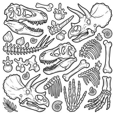 Unearth a fascinating collection of dinosaur bone fossils, including T-Rex and Triceratops skulls, in this intricate coloring template. Perfect for paleontology enthusiasts, this page offers a captivating journey back to the age of dinosaurs.