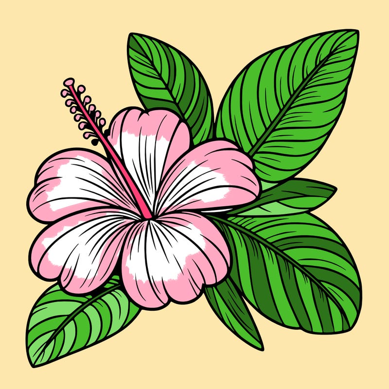 beautiful hawaiian flower