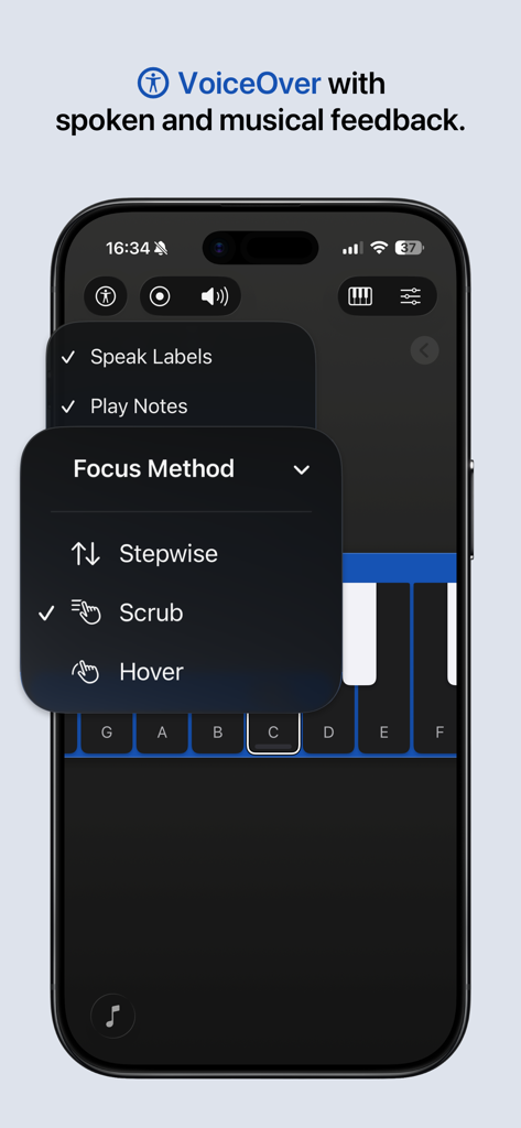 I Love a Piano - Accessibility menu in the I Love a Piano app showing VoiceOver options for spoken and musical feedback including focus methods like scrub and stepwise.
