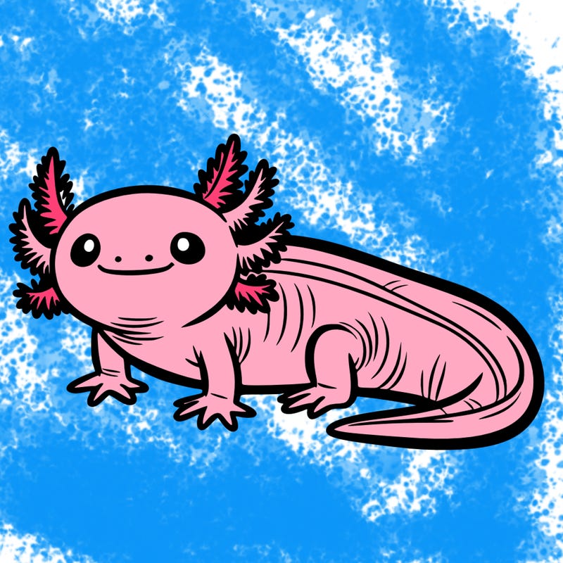 axolotl