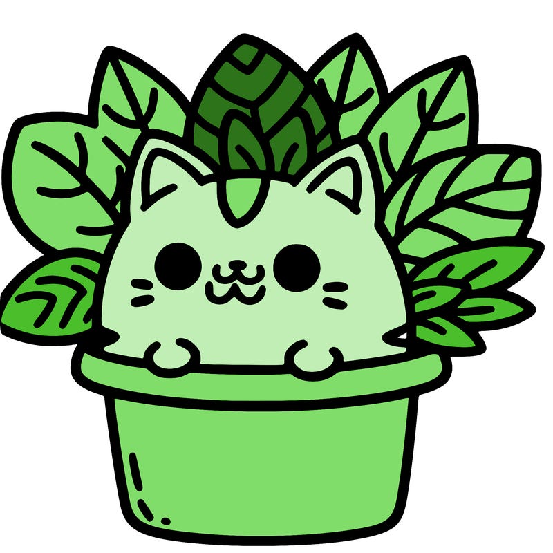 plant cat
