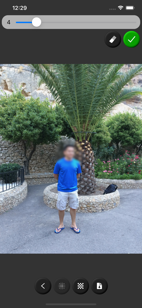 Blur Image - Mobile app interface showing a person's face blurred out for privacy using simple touch controls