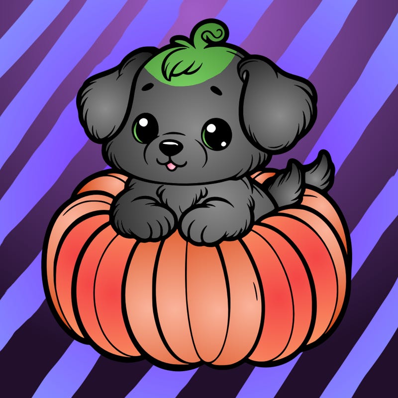 cute little puppy in a pumpkin