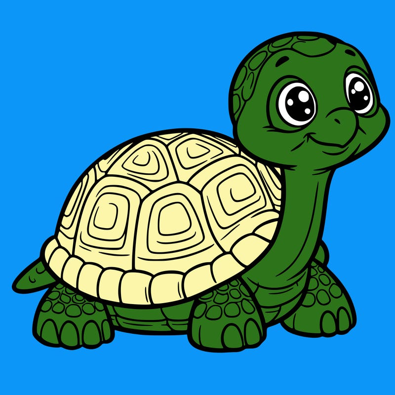 tortoise