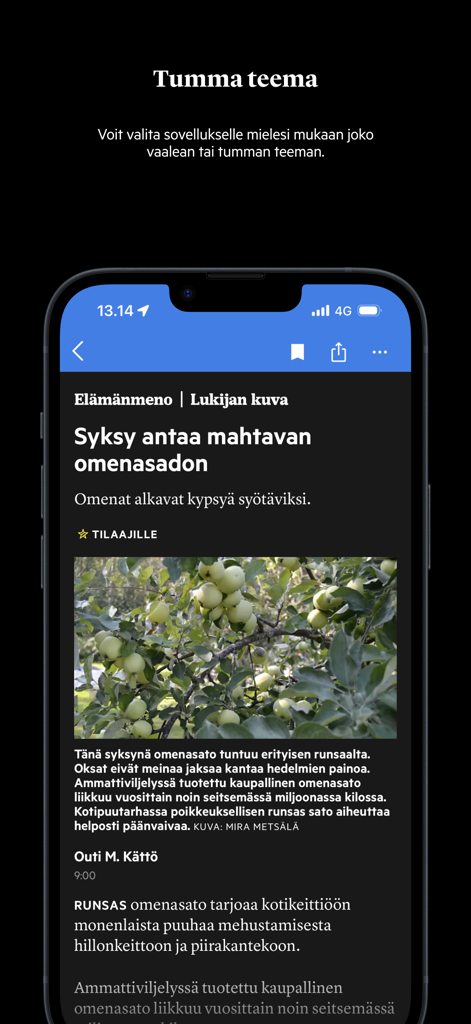 Suur-Keuruu - Screenshot of the Suur-Keuruu news app interface showing an article about apple harvests in dark mode