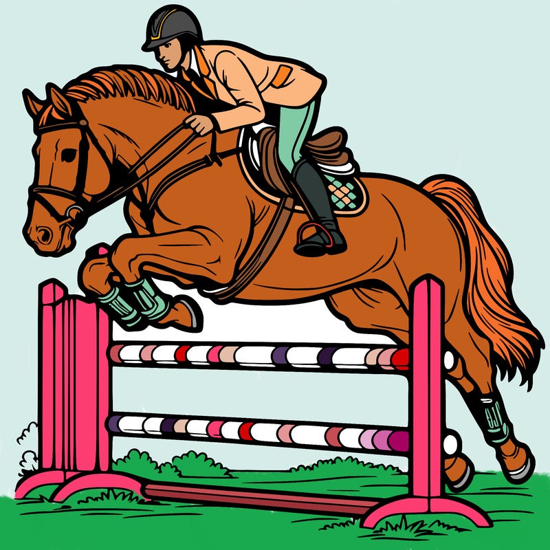 horse riding english show jumping