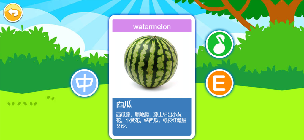 Carte flash éducative bilingue de pastèque avec du texte en anglais et en chinois pour les enfants