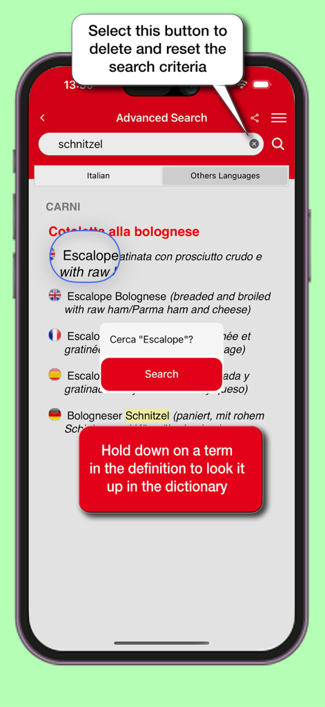 Interface de recherche avancée du Dictionnaire Gastronomique Hoepli montrant les traductions multilingues d'un terme culinaire et la fonction de recherche par simple toucher