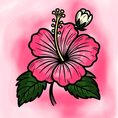 hibiscus flower