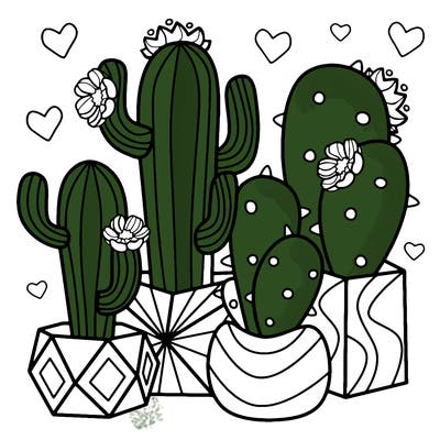 flowers_24_new