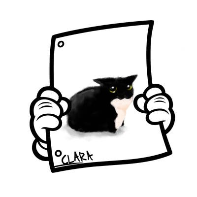 blank sheet of paper