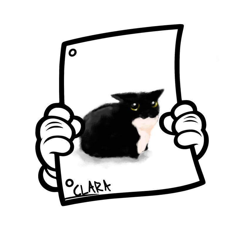 blank sheet of paper