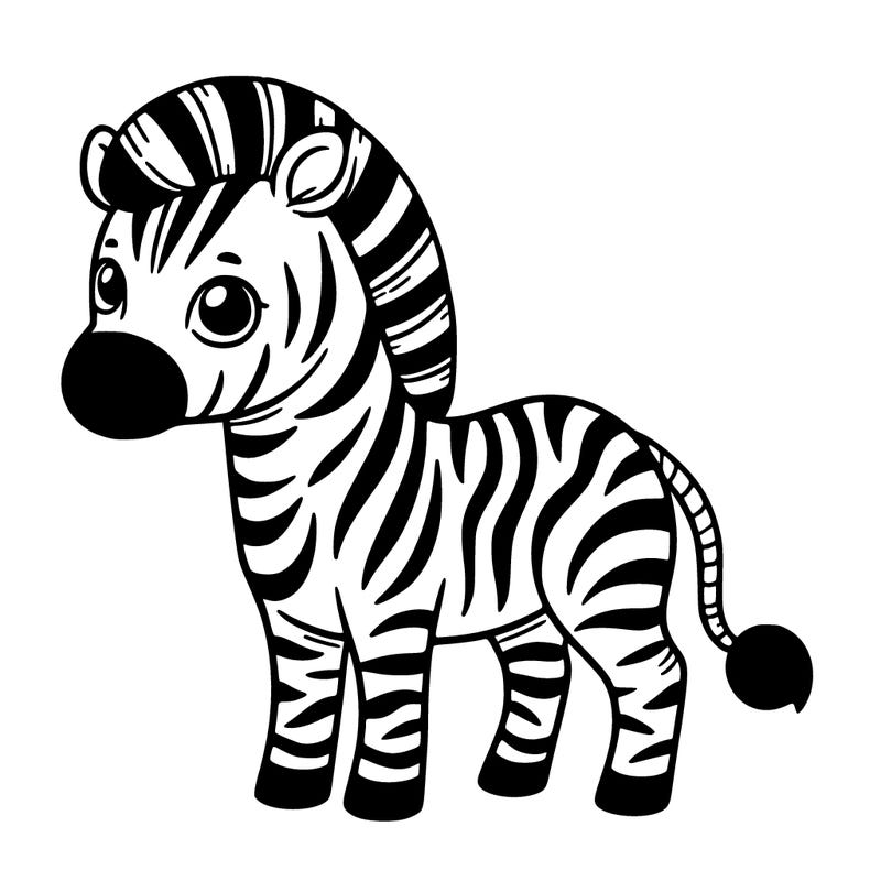zebra