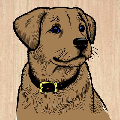 dog realistic