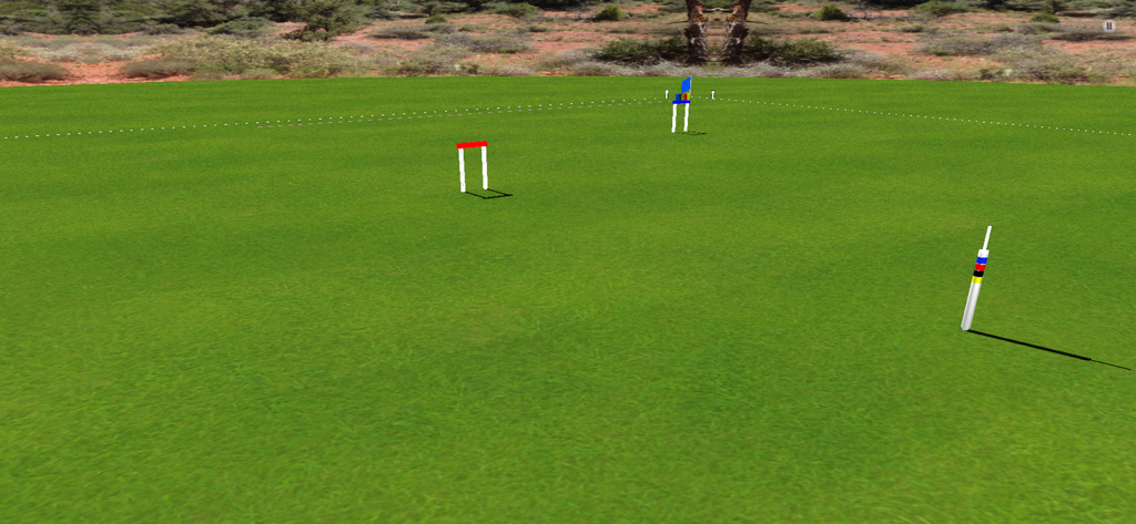 Croquet Pro 2 - A 3D simulation of a professional six-wicket association croquet court featuring wickets and the winning peg